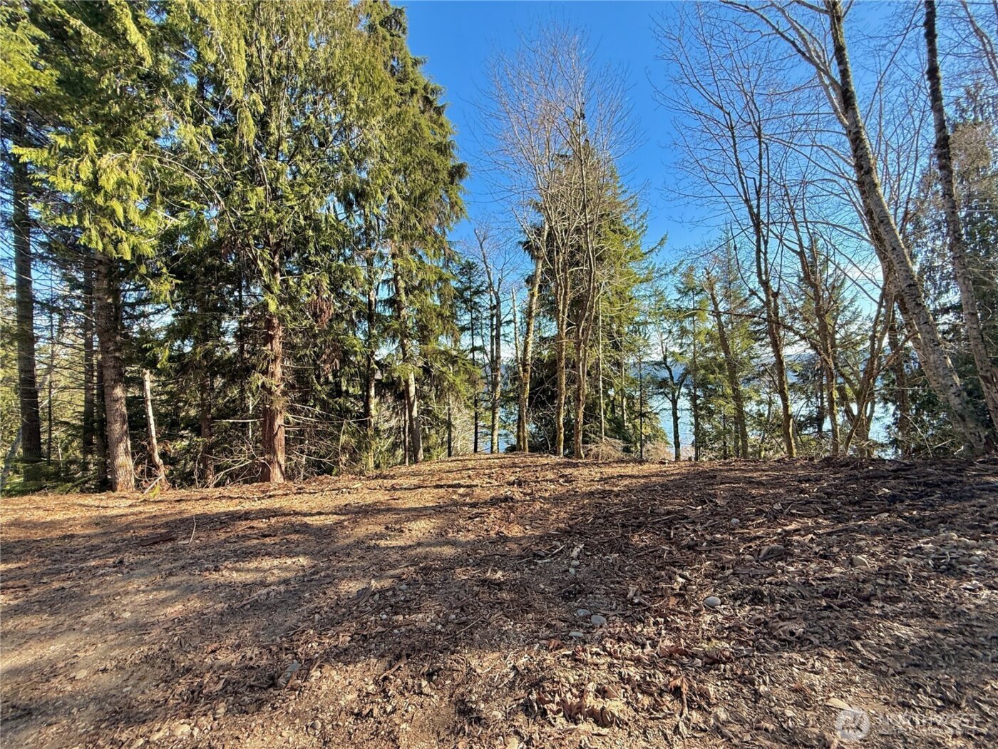 61 Devereaux Drive , Lilliwaup, WA 98555