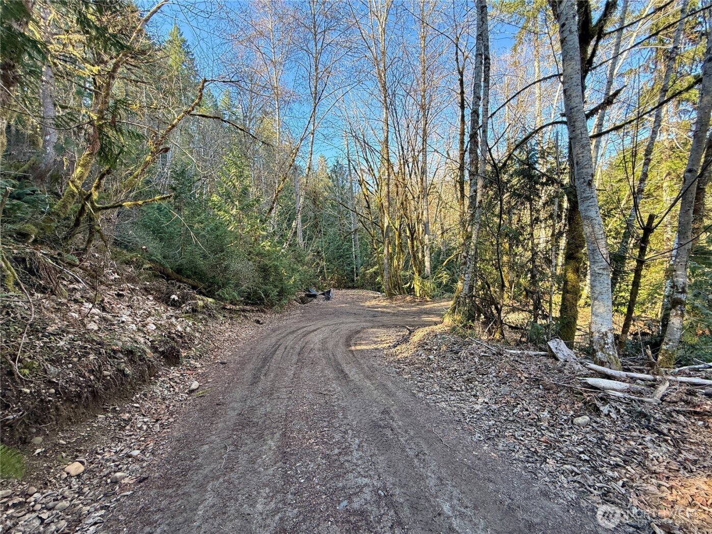 61 Devereaux Drive , Lilliwaup, WA 98555