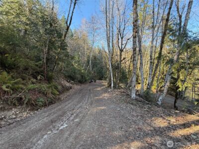 61 Devereaux Drive , Lilliwaup, WA 98555 - Photo 33