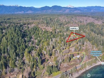 61 Devereaux Drive , Lilliwaup, WA 98555 - Photo 6