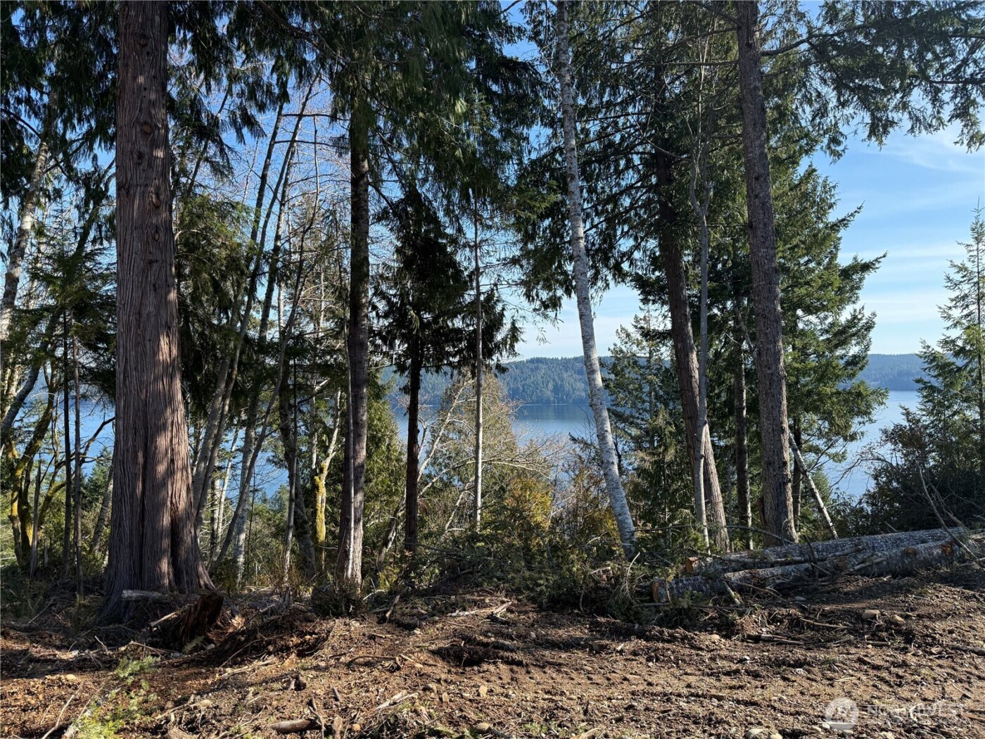 61 Devereaux Drive , Lilliwaup, WA 98555