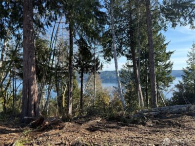 61 Devereaux Drive , Lilliwaup, WA 98555 - Photo 8