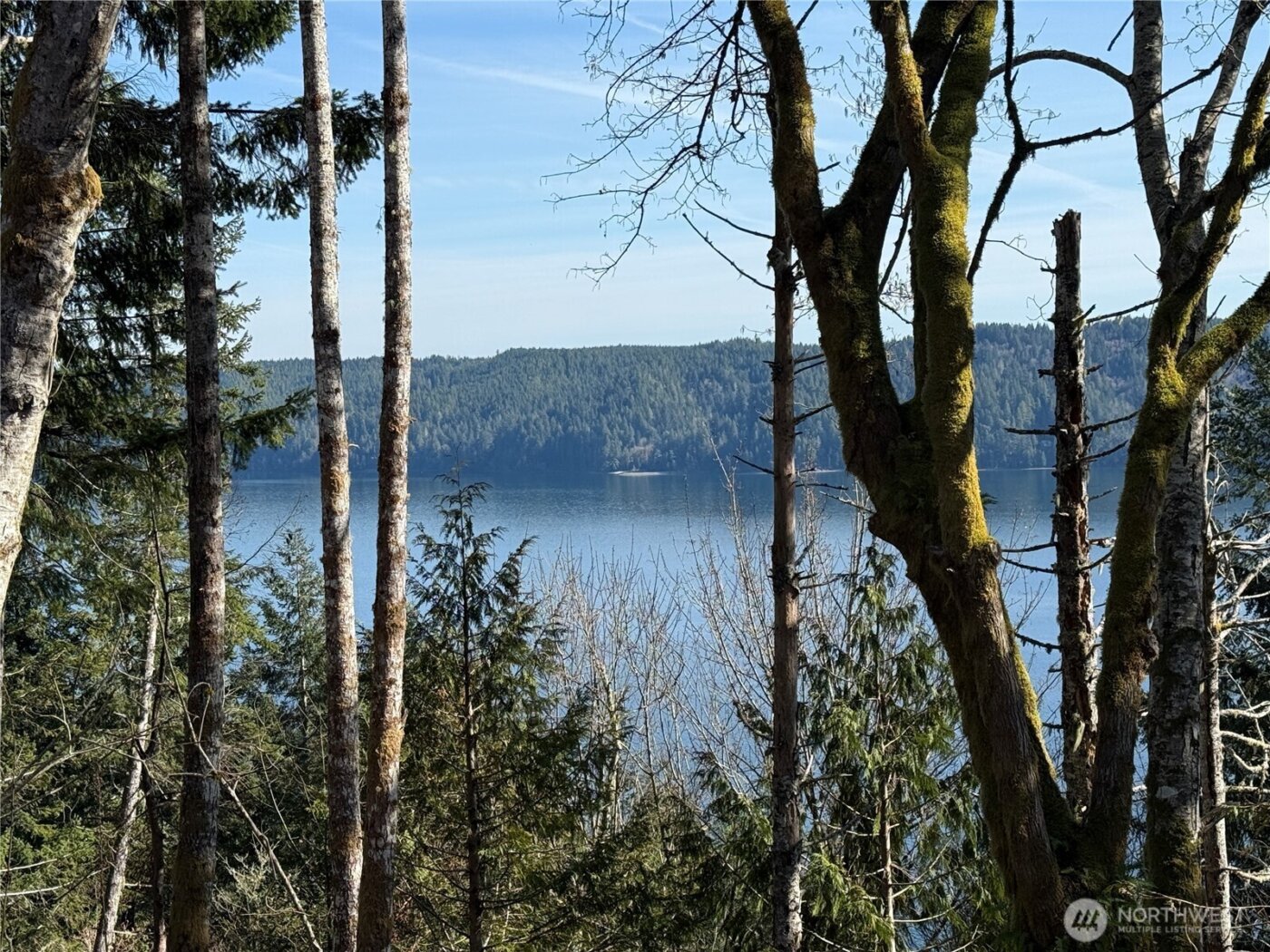 61 Devereaux Drive , Lilliwaup, WA 98555