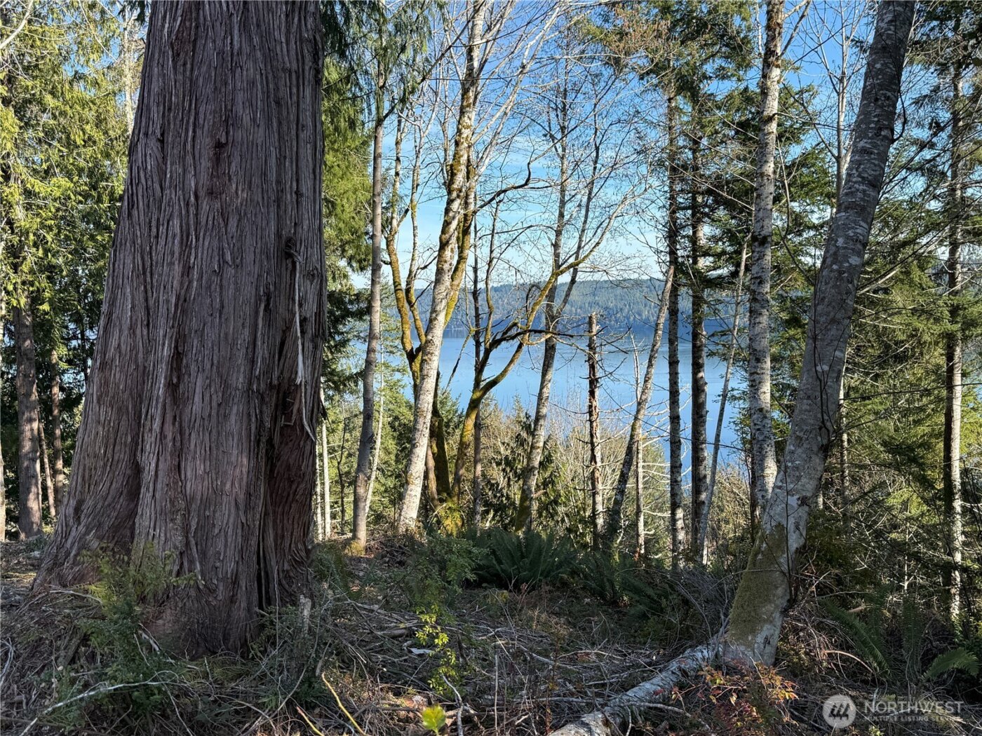 61 Devereaux Drive , Lilliwaup, WA 98555