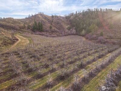 0 Tigner Road , Cashmere, WA 98815 - Photo 8