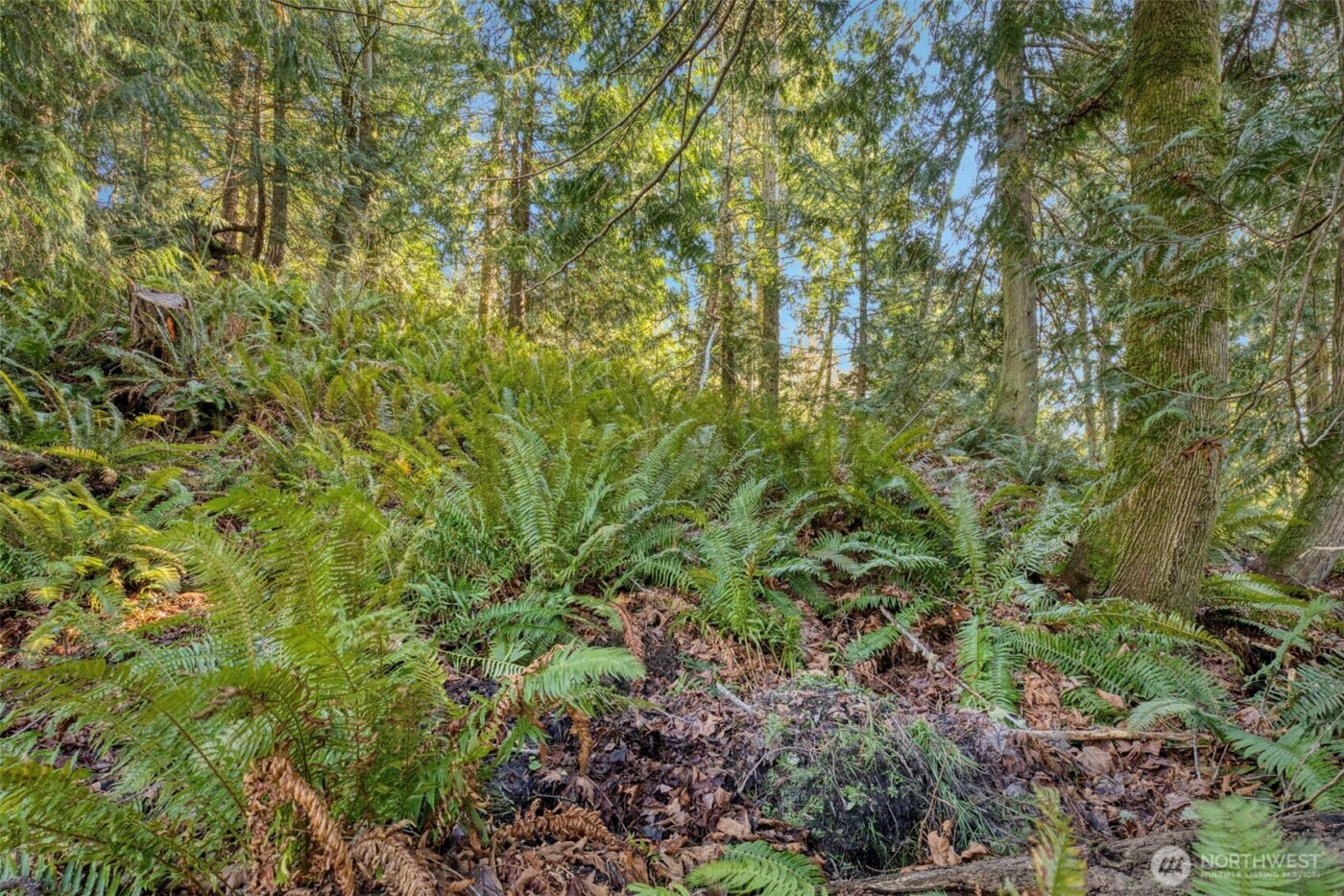 34638 Bridge View Place , Kingston, WA 98346