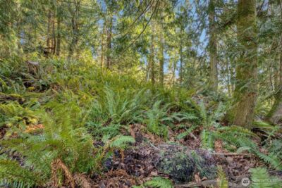 34638 Bridge View Place , Kingston, WA 98346 - Photo 4