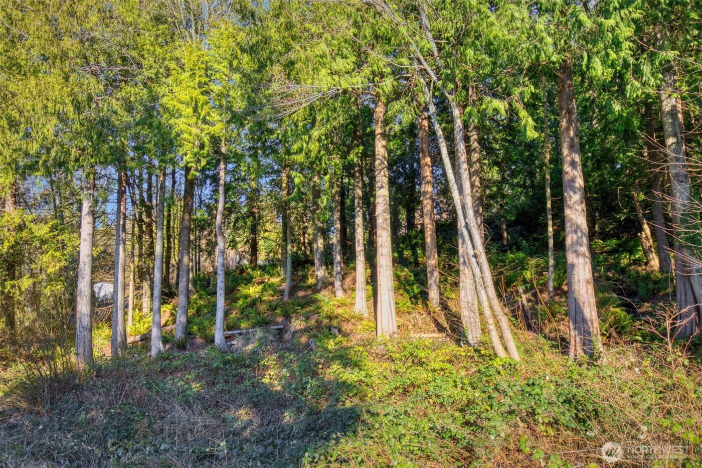 34638 Bridge View Place , Kingston, WA 98346