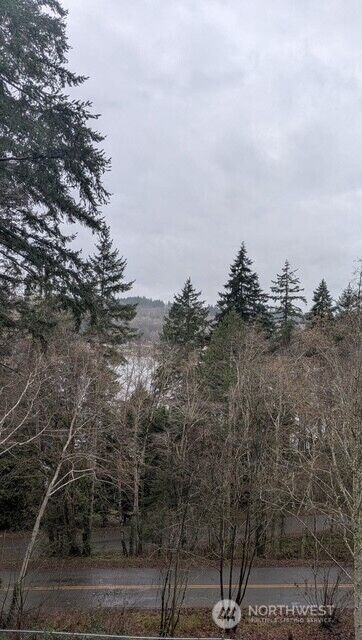 291 E Shorecrest Drive , Shelton, WA 98584 - Photo 20