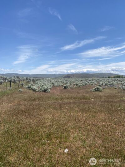 1160 Lester Road , Ellensburg, WA 98926 - Photo 2