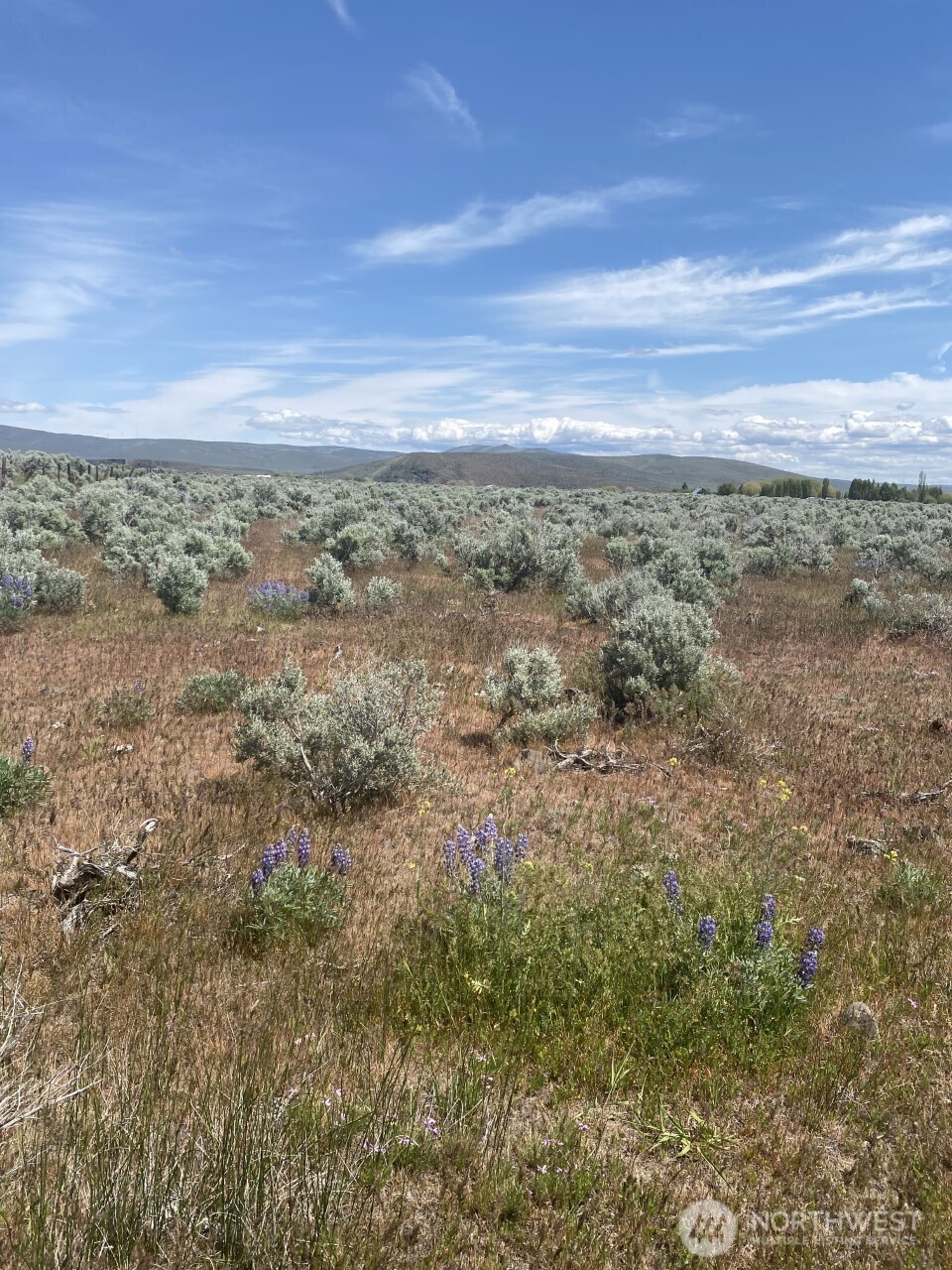 1160 Lester Road , Ellensburg, WA 98926