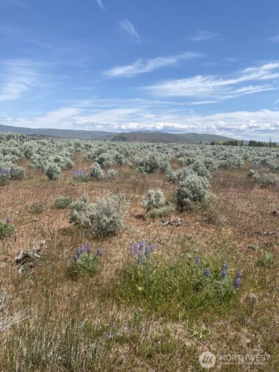 1160 Lester Road , Ellensburg, WA 98926 - Photo 3