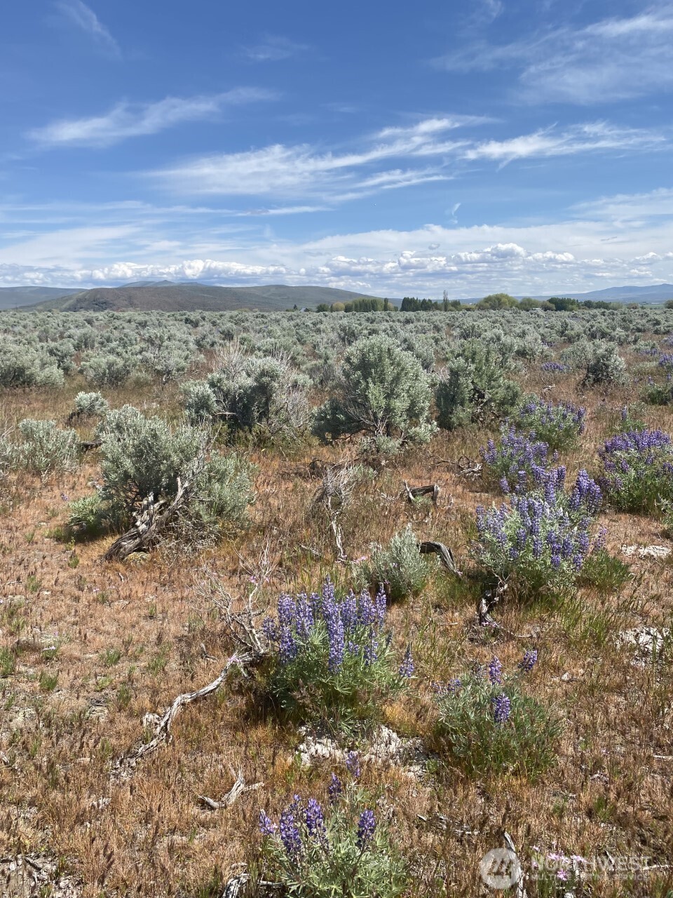 1160 Lester Road , Ellensburg, WA 98926