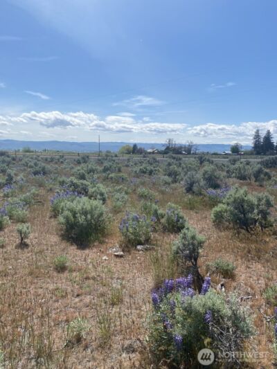 1160 Lester Road , Ellensburg, WA 98926 - Photo 6