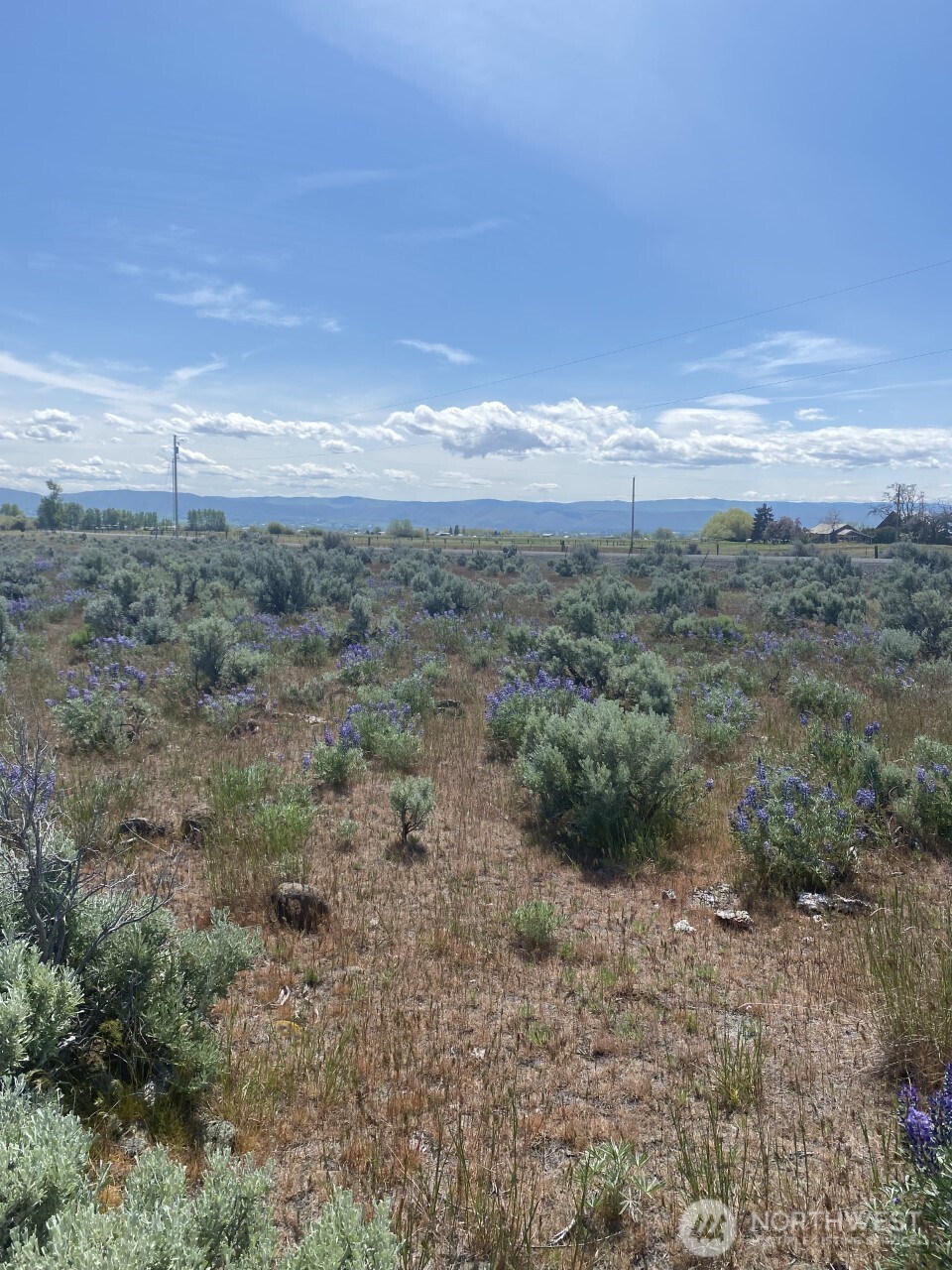 1160 Lester Road , Ellensburg, WA 98926