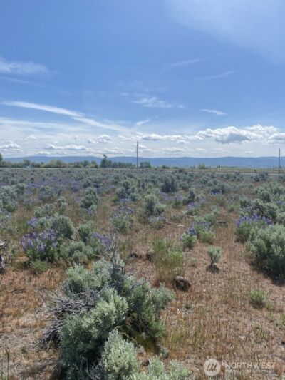 1160 Lester Road , Ellensburg, WA 98926 - Photo 8