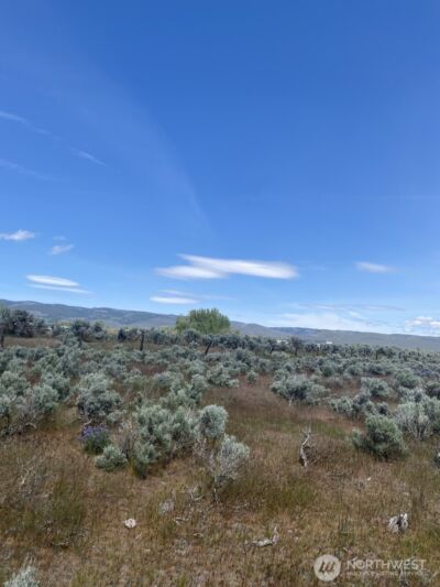 1160 Lester Road , Ellensburg, WA 98926 - Photo 9