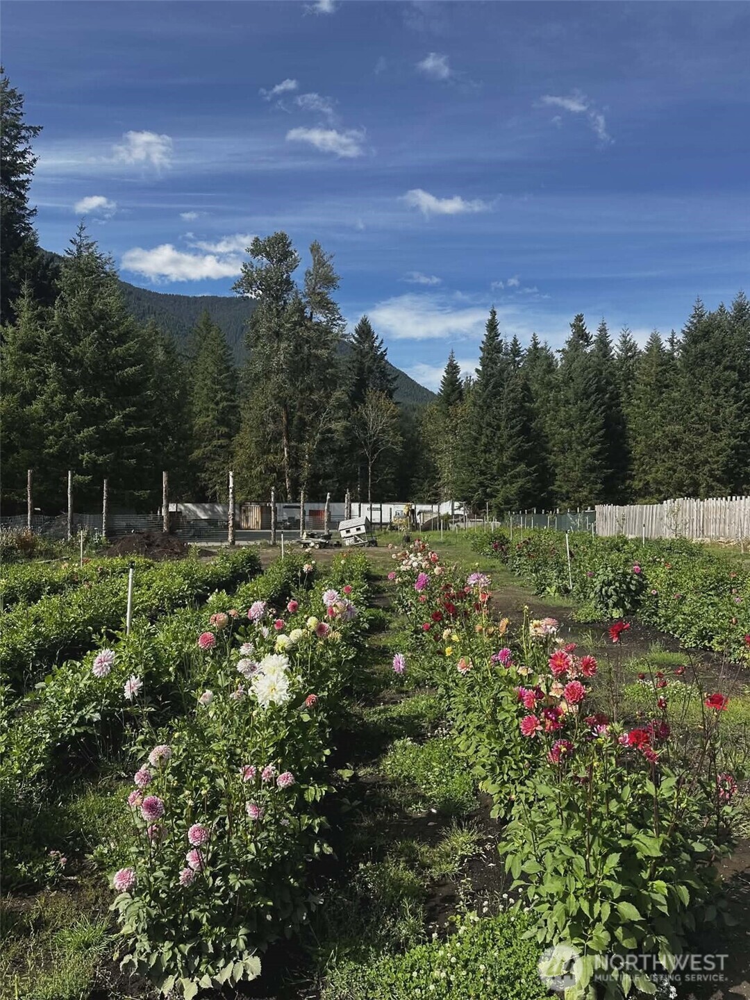 104 Luna Lane , Packwood, WA 98361