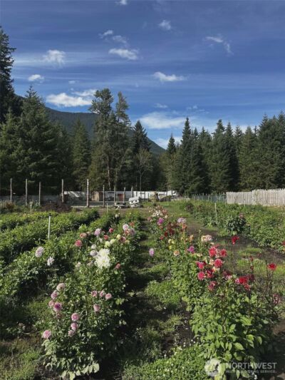 104 Luna Lane , Packwood, WA 98361 - Photo 22