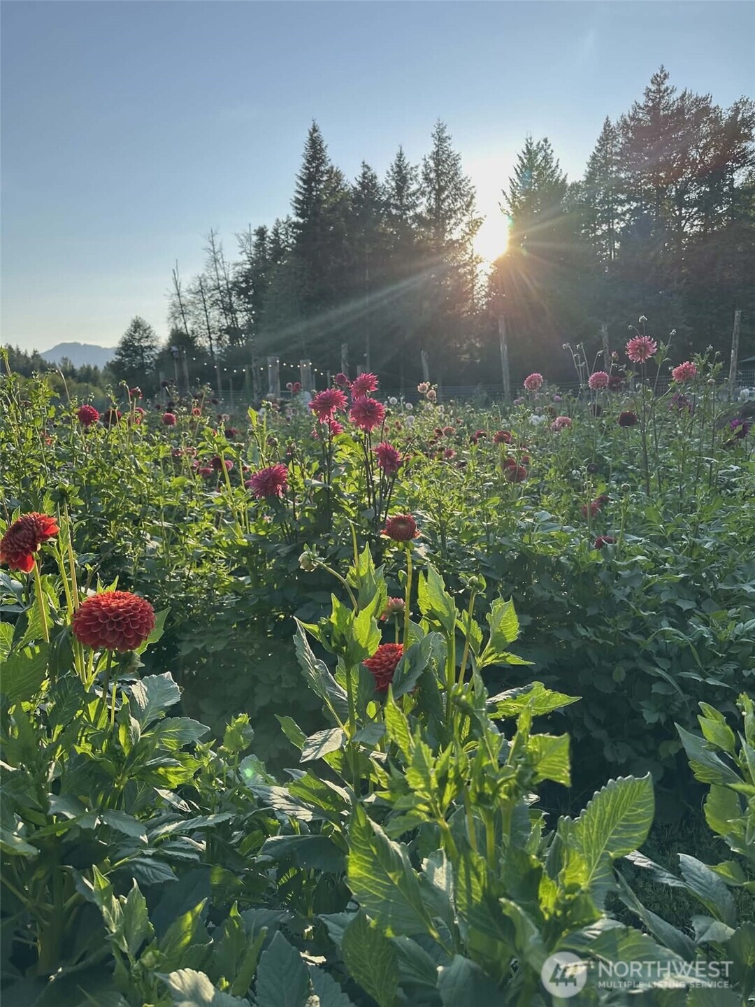 104 Luna Lane , Packwood, WA 98361