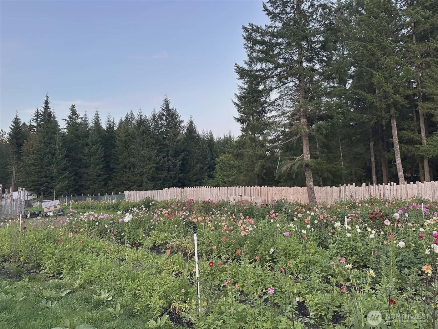 104 Luna Lane , Packwood, WA 98361