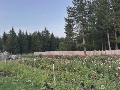 104 Luna Lane , Packwood, WA 98361 - Photo 24