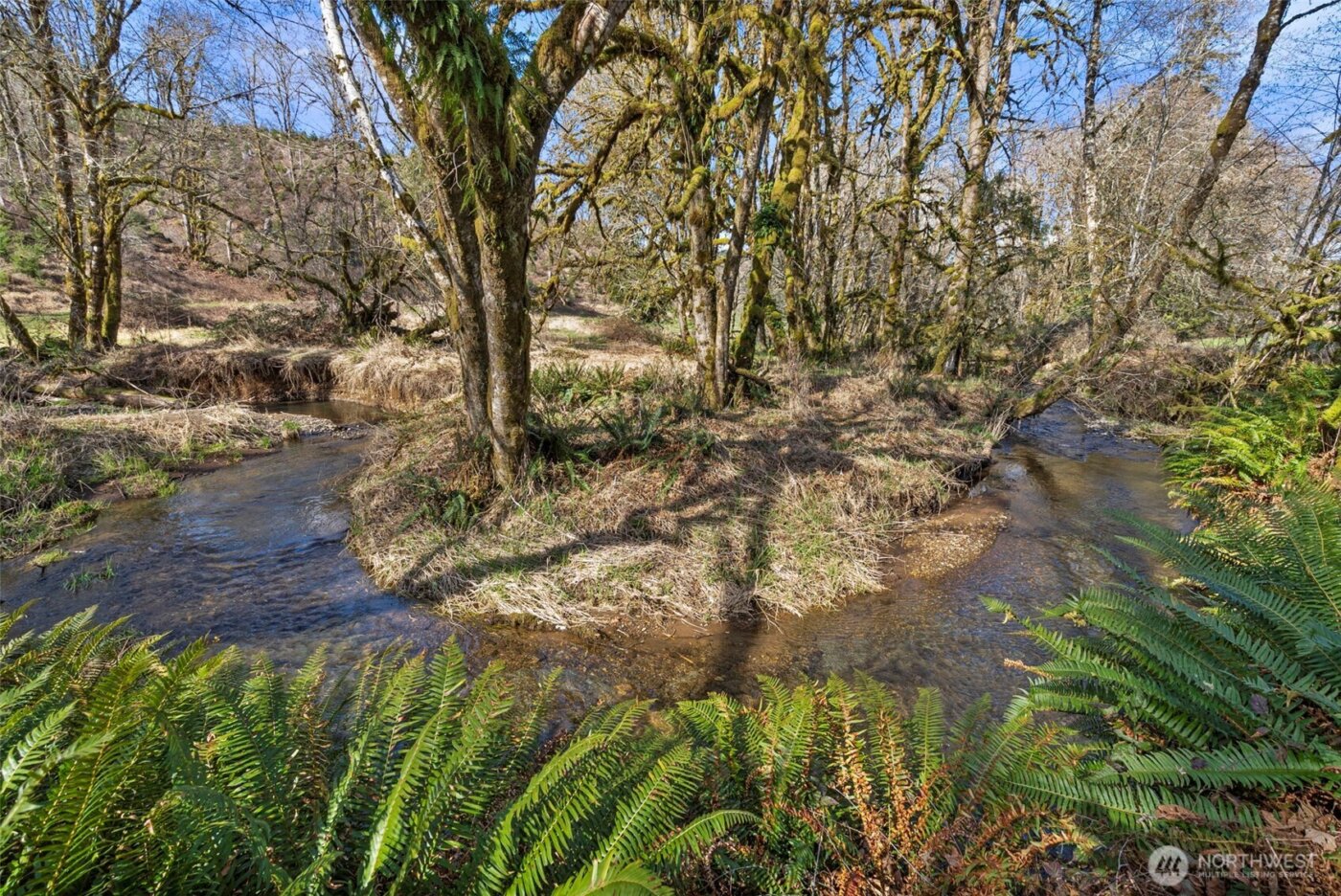 65 Wilderness Road , Oakville, WA 98568