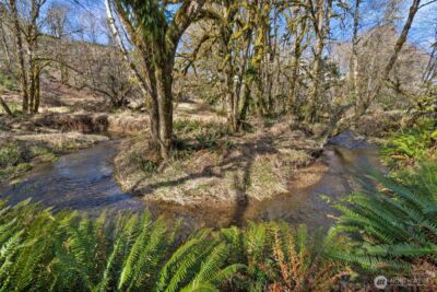 65 Wilderness Road , Oakville, WA 98568 - Photo 32