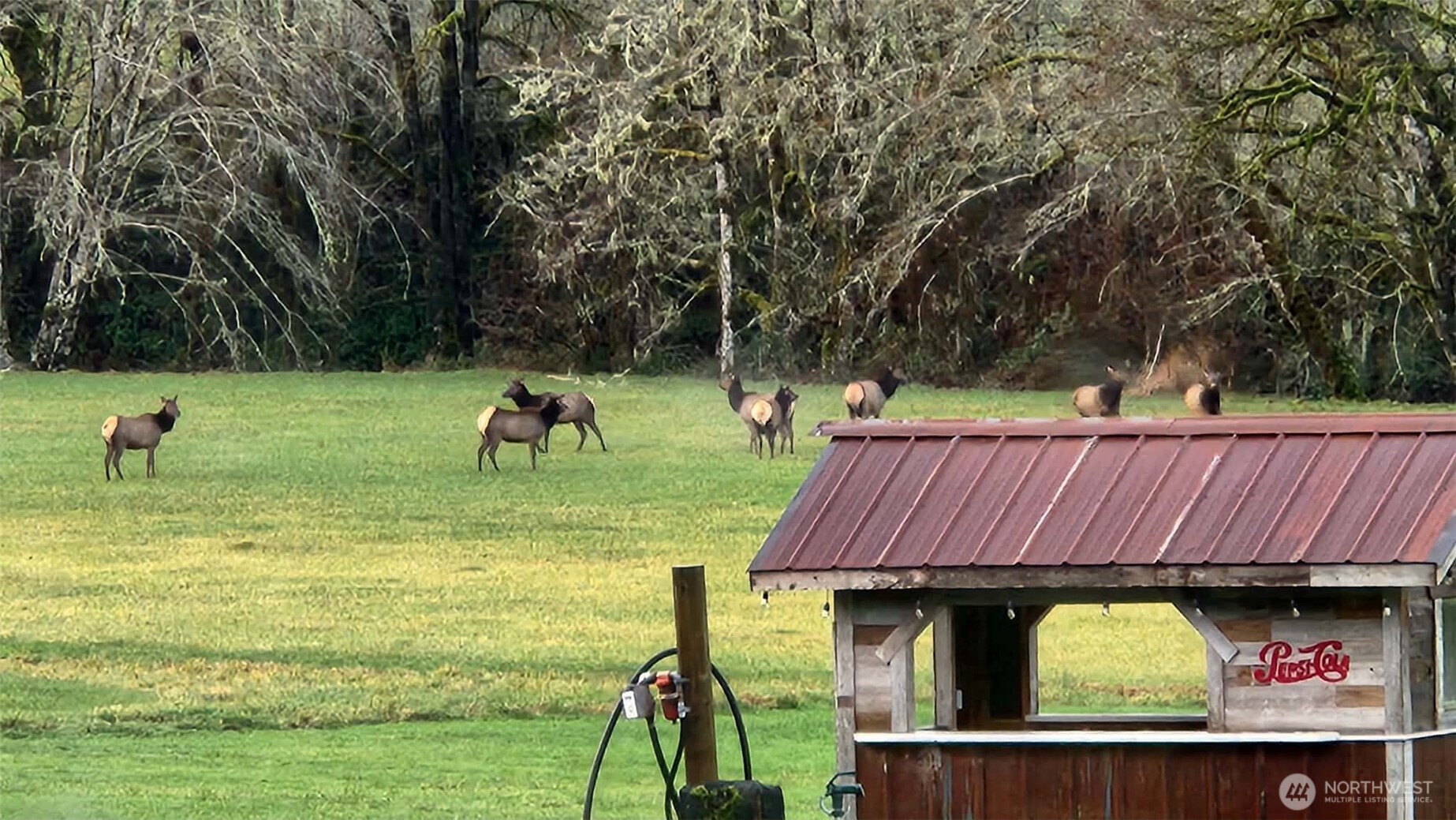 65 Wilderness Road , Oakville, WA 98568