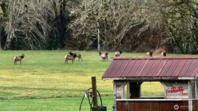 65 Wilderness Road , Oakville, WA 98568 - Photo 35