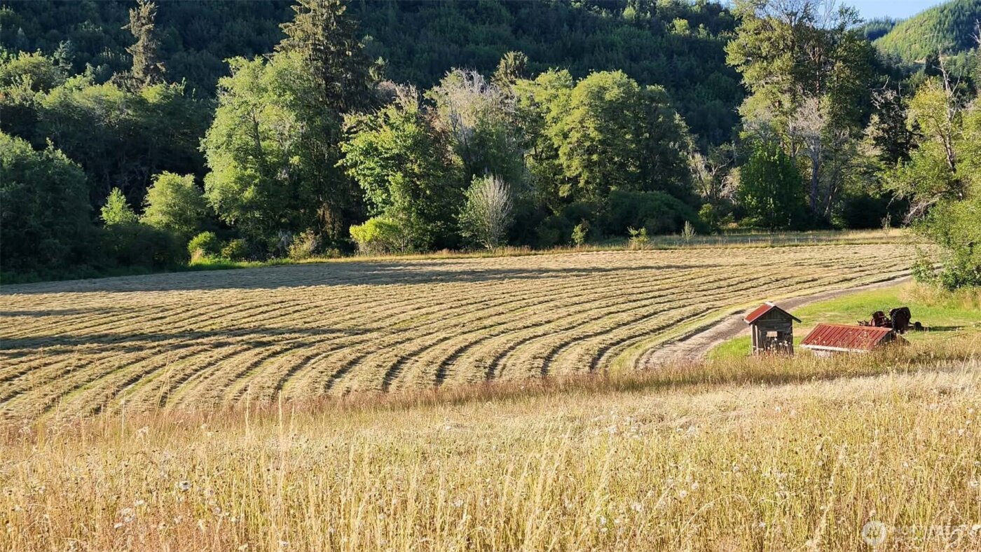 65 Wilderness Road , Oakville, WA 98568