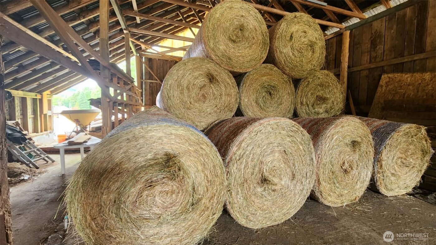 65 Wilderness Road , Oakville, WA 98568