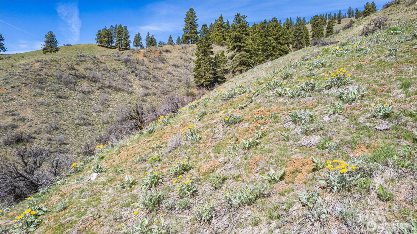 9640 Nahahum Canyon Road , Cashmere, WA 98815