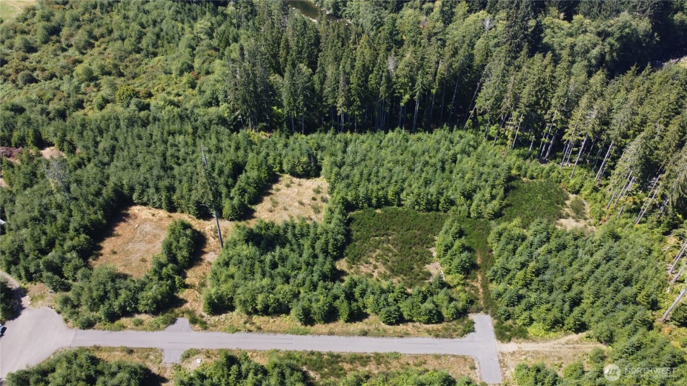9999 King Johns-Lot 2 Raven SP Way , Forks, WA 98331