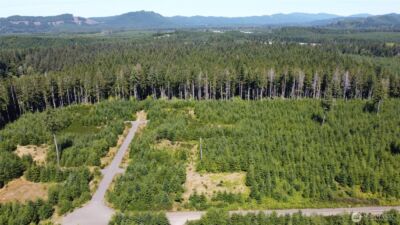 9999 King Johns-Lot 2 Raven SP Way , Forks, WA 98331 - Photo 3