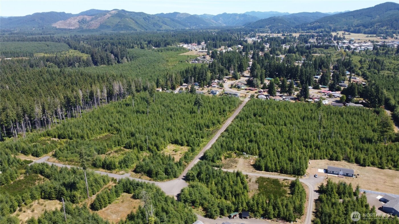 9999 King Johns-Lot 2 Raven SP Way , Forks, WA 98331