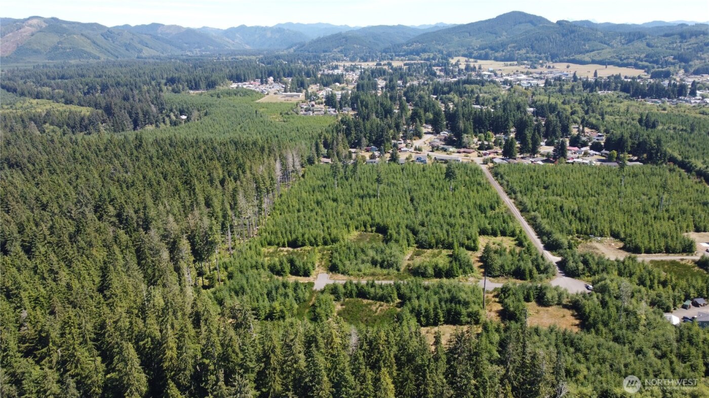 9999 King Johns-Lot 2 Raven SP Way , Forks, WA 98331