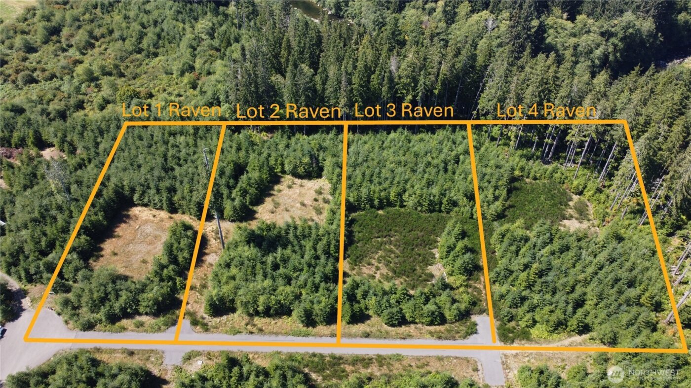 9999 King Johns-Lot 2 Raven SP Way , Forks, WA 98331