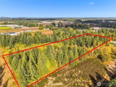 9907 Blomberg Street SW, Olympia, WA 98512-9148 - Photo 39