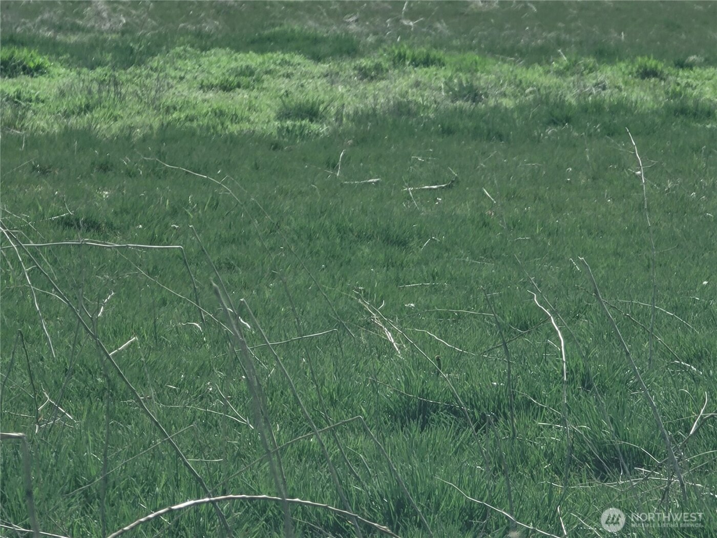 2600 Watson Road , Ellensburg, WA 98926