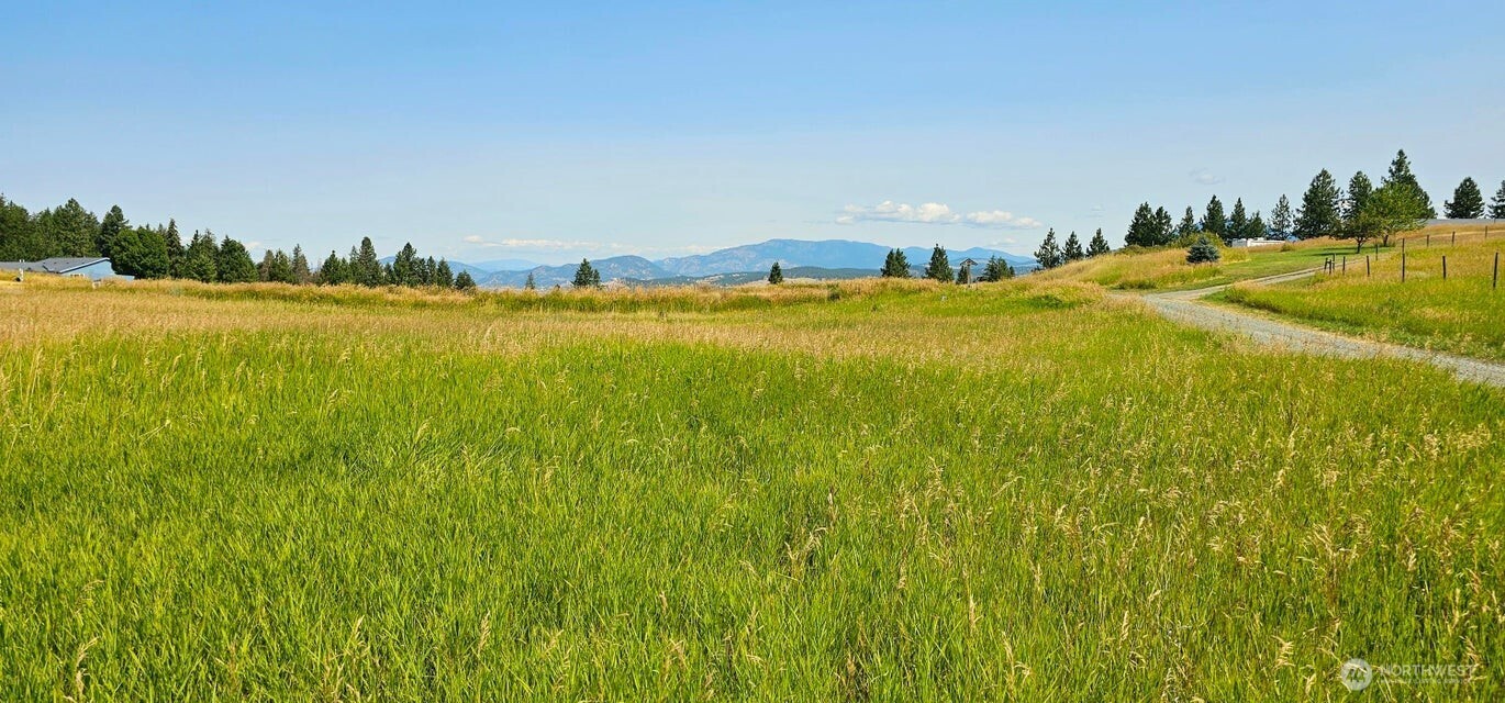 1041 Ward Way , Colville, WA 99114