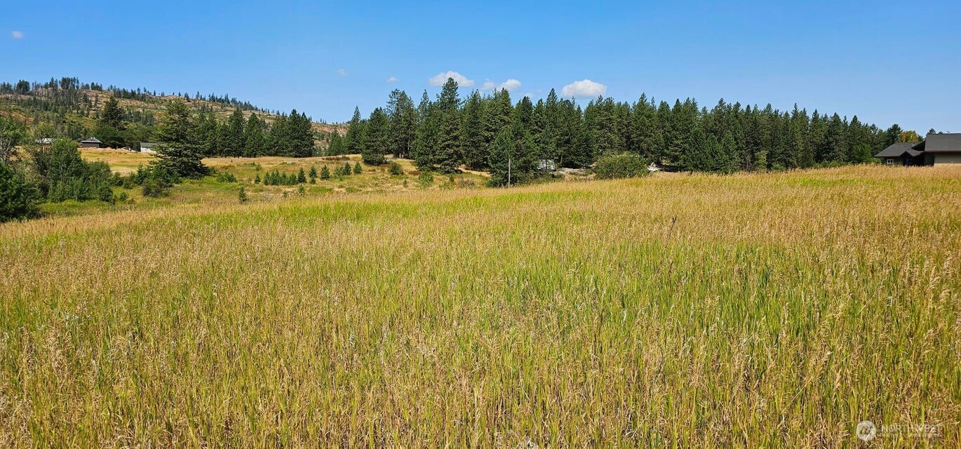 1041 Ward Way , Colville, WA 99114