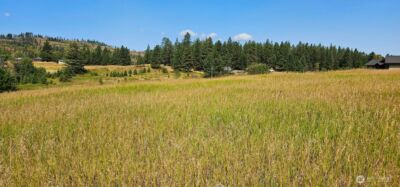 1041 Ward Way , Colville, WA 99114 - Photo 12