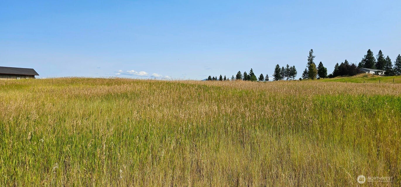 1041 Ward Way , Colville, WA 99114