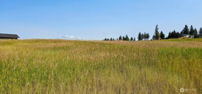 1041 Ward Way , Colville, WA 99114 - Photo 13