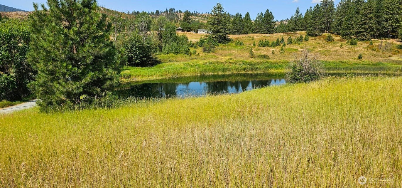 1041 Ward Way , Colville, WA 99114