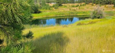 1041 Ward Way , Colville, WA 99114 - Photo 15