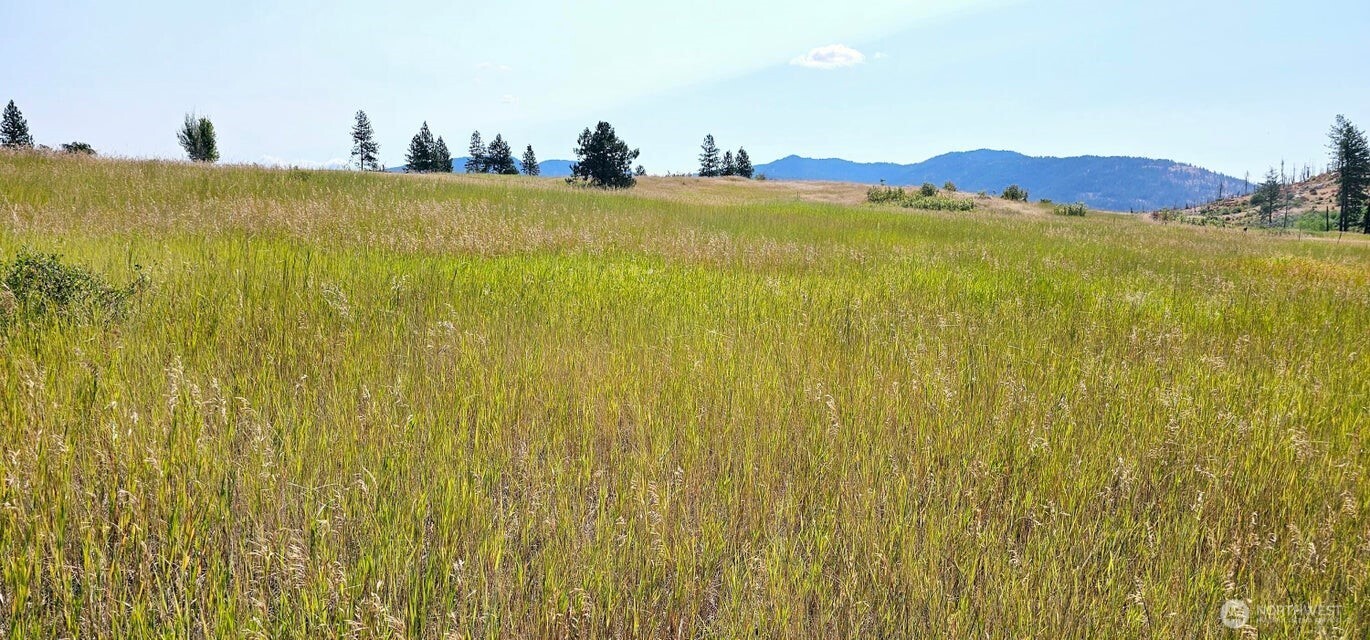 1041 Ward Way , Colville, WA 99114