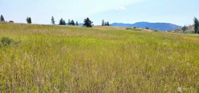 1041 Ward Way , Colville, WA 99114 - Photo 16