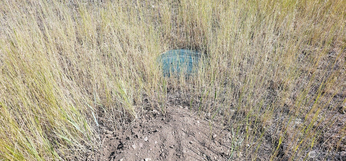 1041 Ward Way , Colville, WA 99114